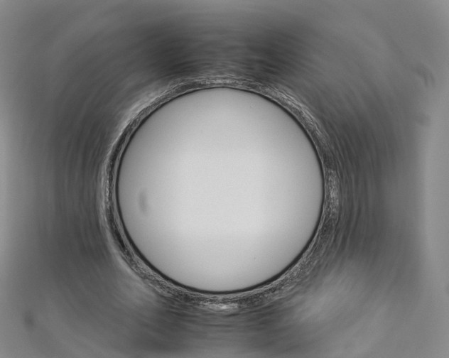 X0000112930582200908241056