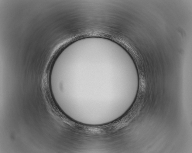 X0000112930583200908241056