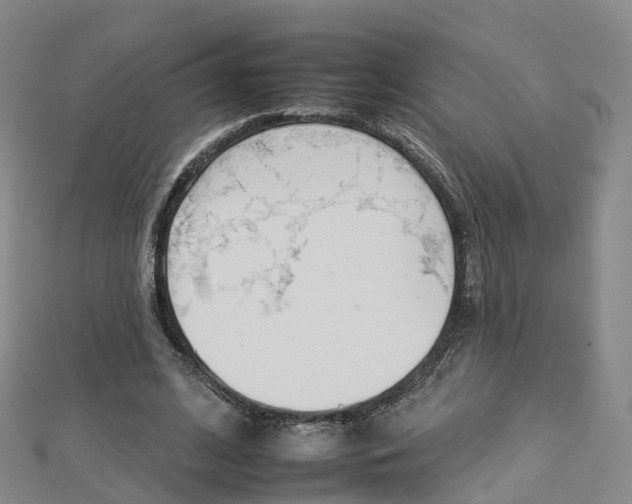 X0000112930584200908241056