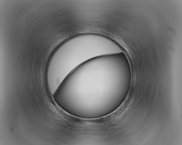 X0000112930585200908241056