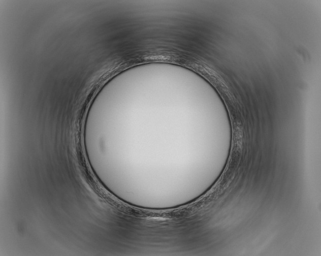 X0000112930586200908241056