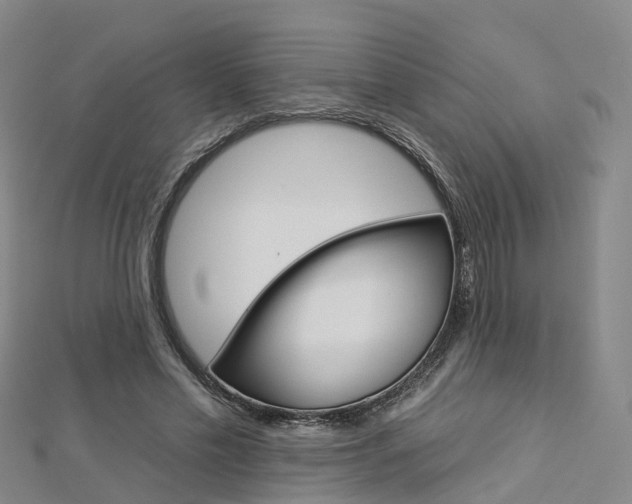 X0000112930589200908241056