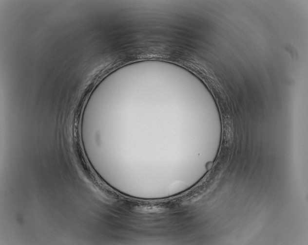 X0000112930590200908241056