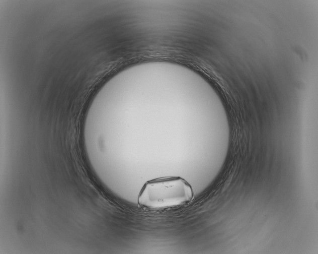 X0000112930593200908241056