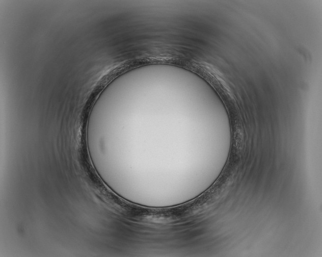 X0000112930596200908241056