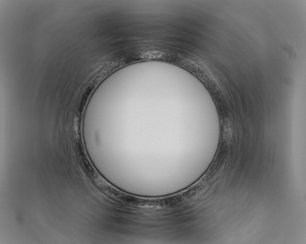 X0000112930598200908241056