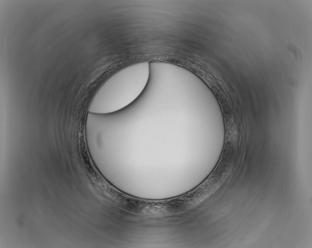 X0000112930599200908241056