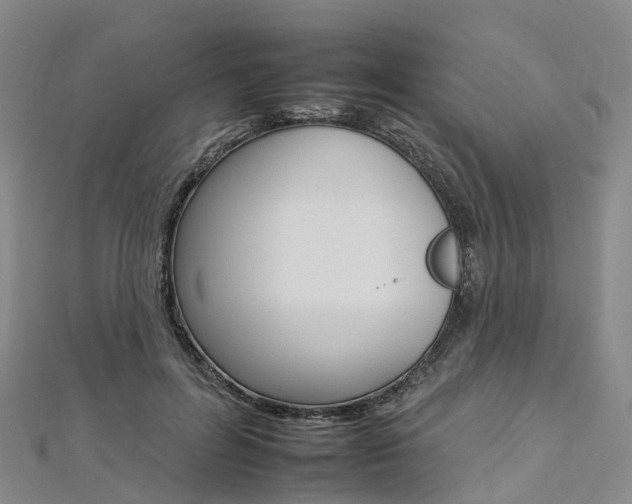 X0000112930600200908241056