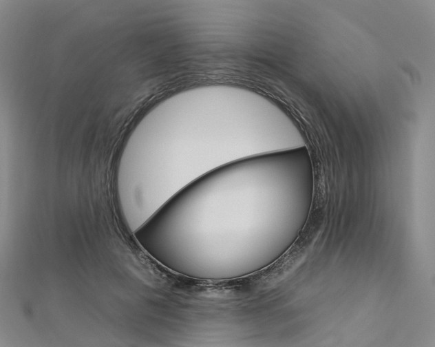 X0000112930601200908241056