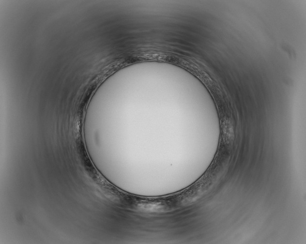X0000112930602200908241056