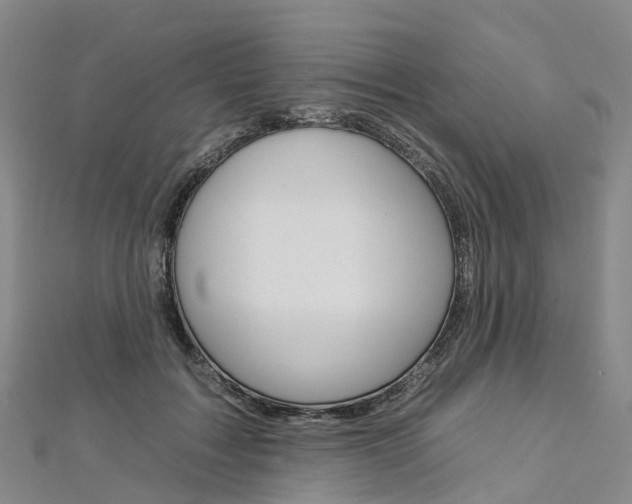 X0000112930603200908241056