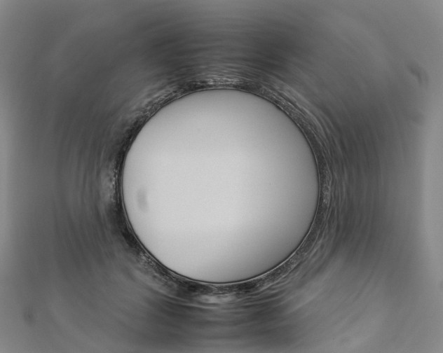 X0000112930604200908241056