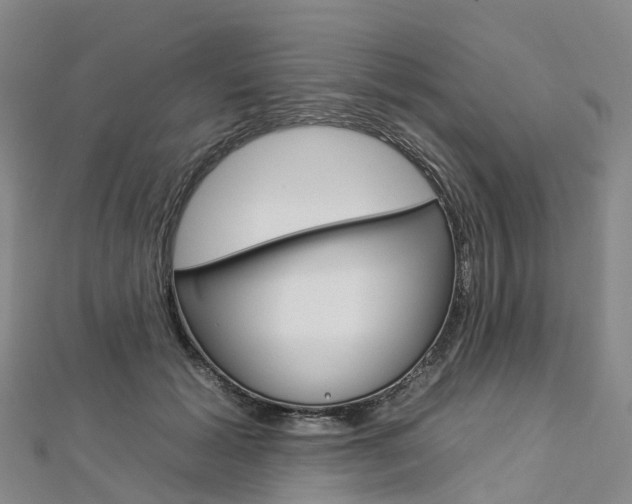 X0000112930605200908241056