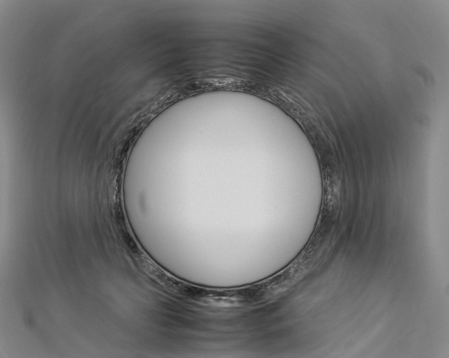 X0000112930606200908241056