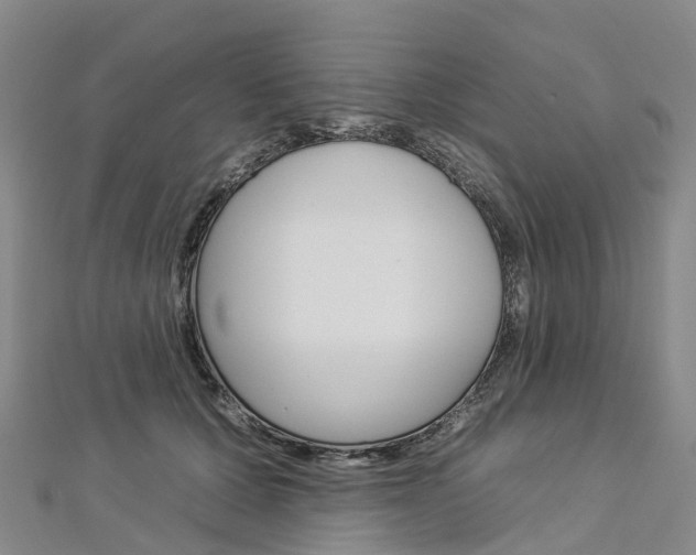 X0000112930607200908241056