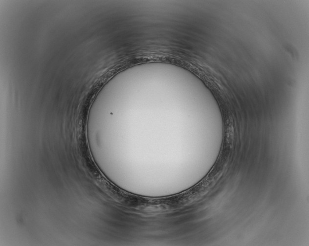 X0000112930608200908241056
