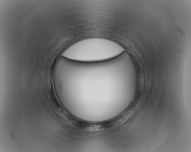 X0000112930609200908241056