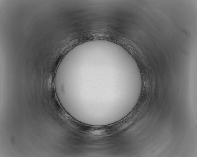 X0000112930610200908241056