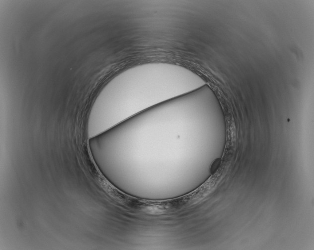 X0000112930611200908241056