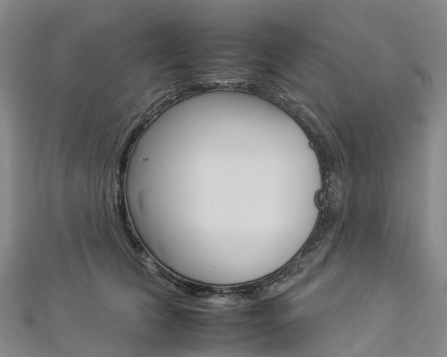 X0000112930612200908241056