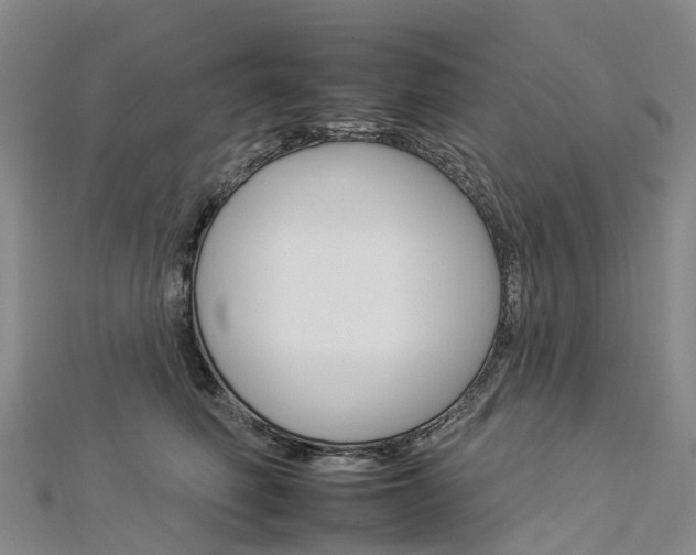 X0000112930614200908241056