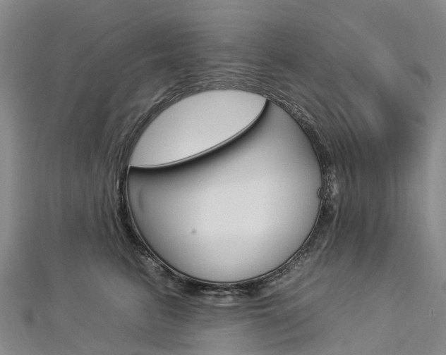 X0000112930615200908241056