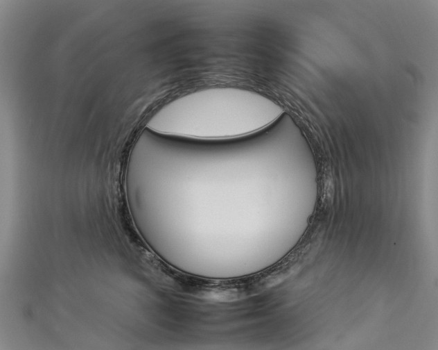 X0000112930616200908241056