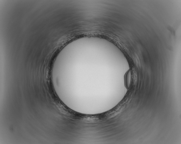 X0000112930619200908241056