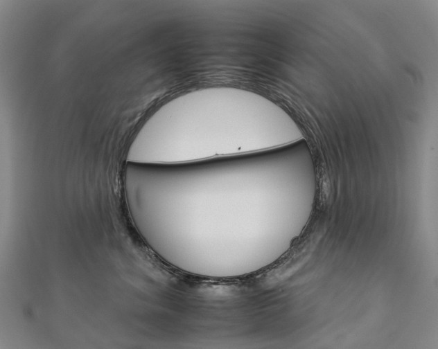X0000112930620200908241055