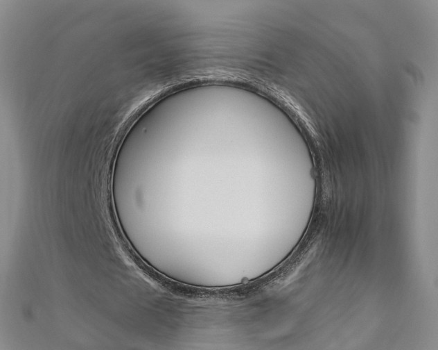X0000112930625200908241055