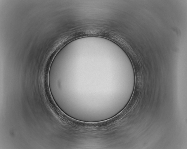 X0000112930626200908241055
