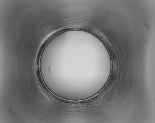 X0000112930628200908241055