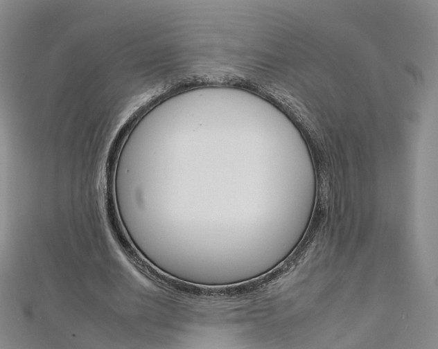 X0000112930630200908241055