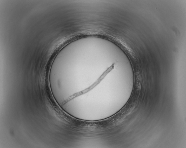 X0000112930631200908241055