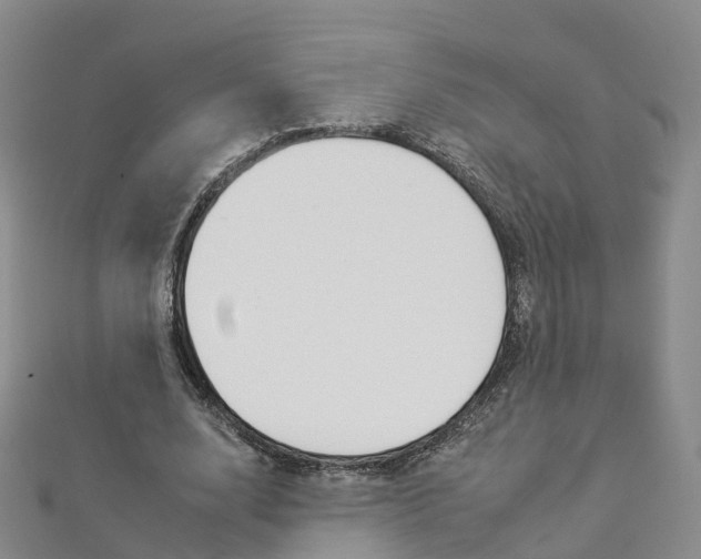 X0000112930632200908241055