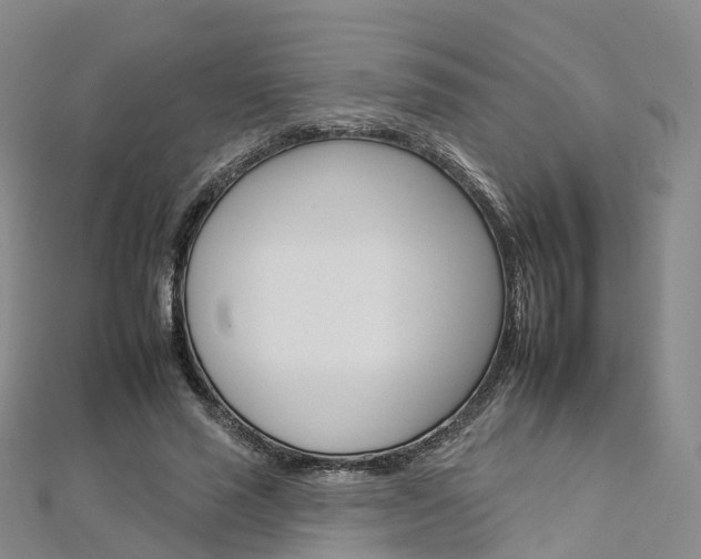X0000112930637200908241055