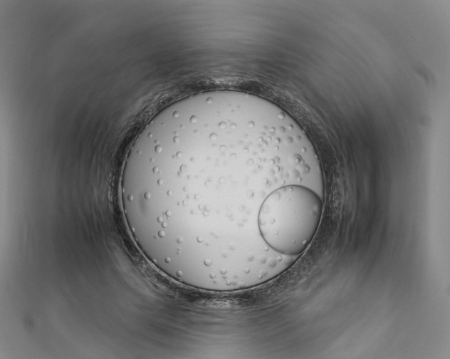 X0000112930639200908241055