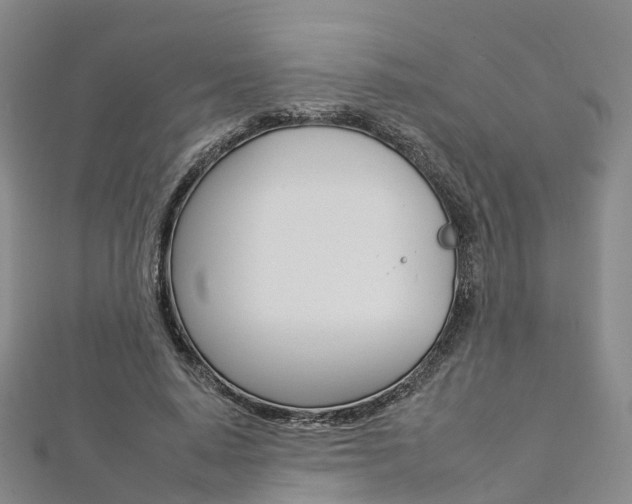 X0000112930640200908241055
