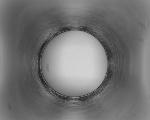 X0000112930642200908241055