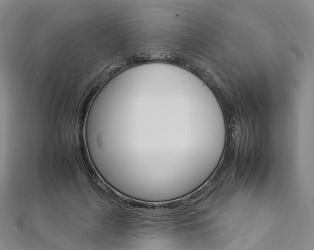 X0000112930643200908241055