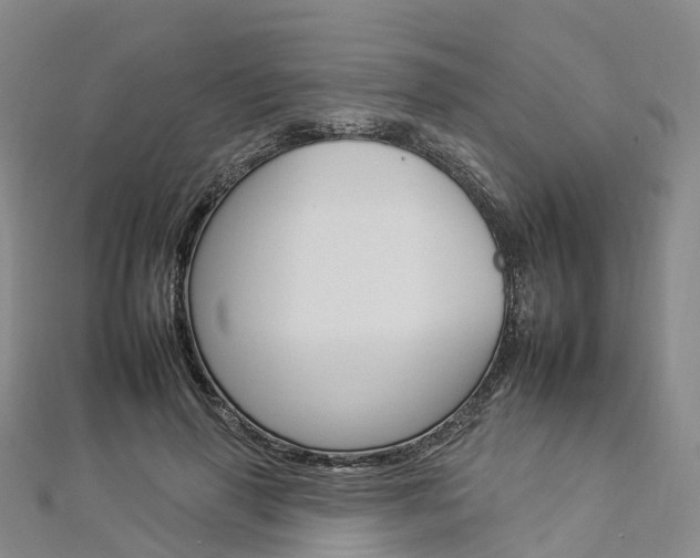 X0000112930645200908241055