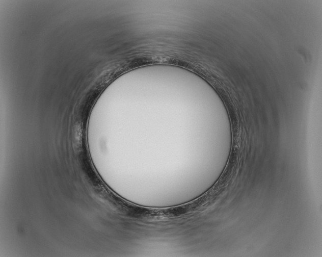 X0000112930646200908241055