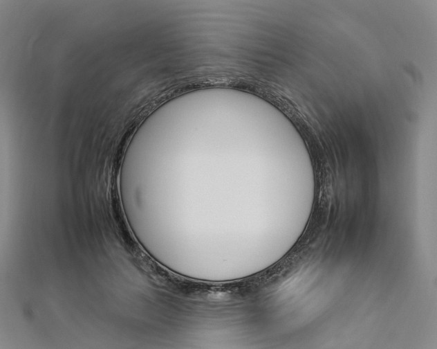 X0000112930647200908241055