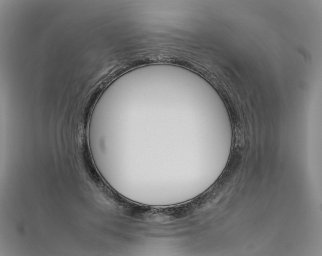 X0000112930648200908241055