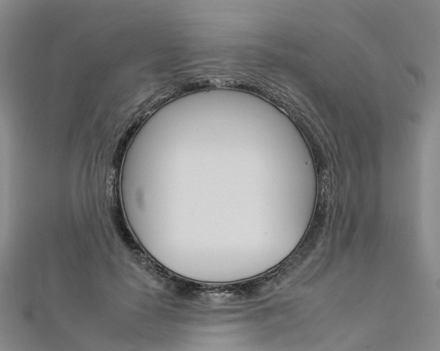 X0000112930650200908241055