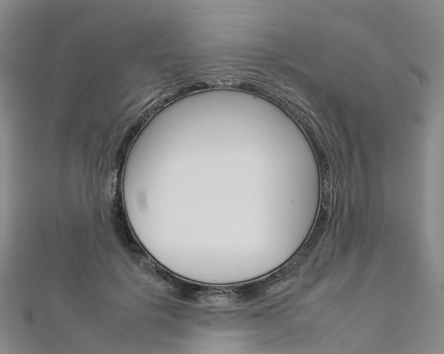 X0000112930652200908241055