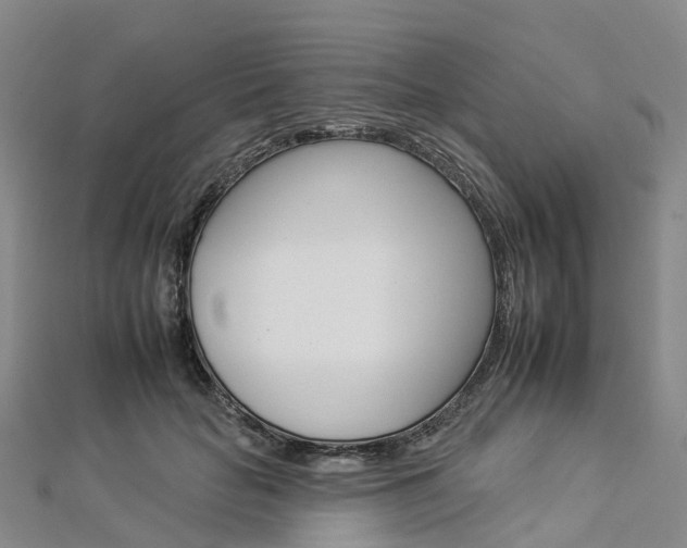 X0000112930653200908241055