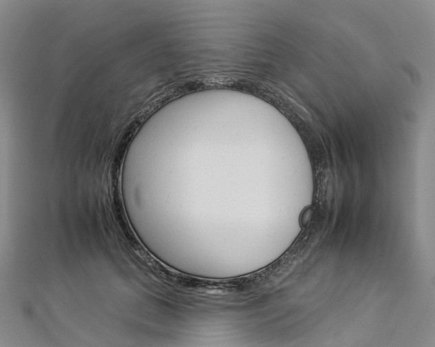 X0000112930655200908241055