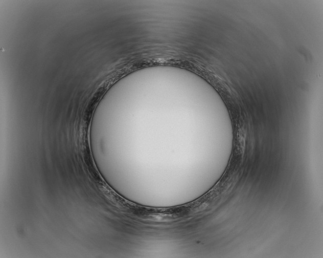 X0000112930657200908241055