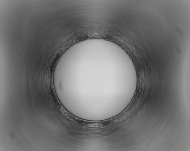 X0000112930659200908241055